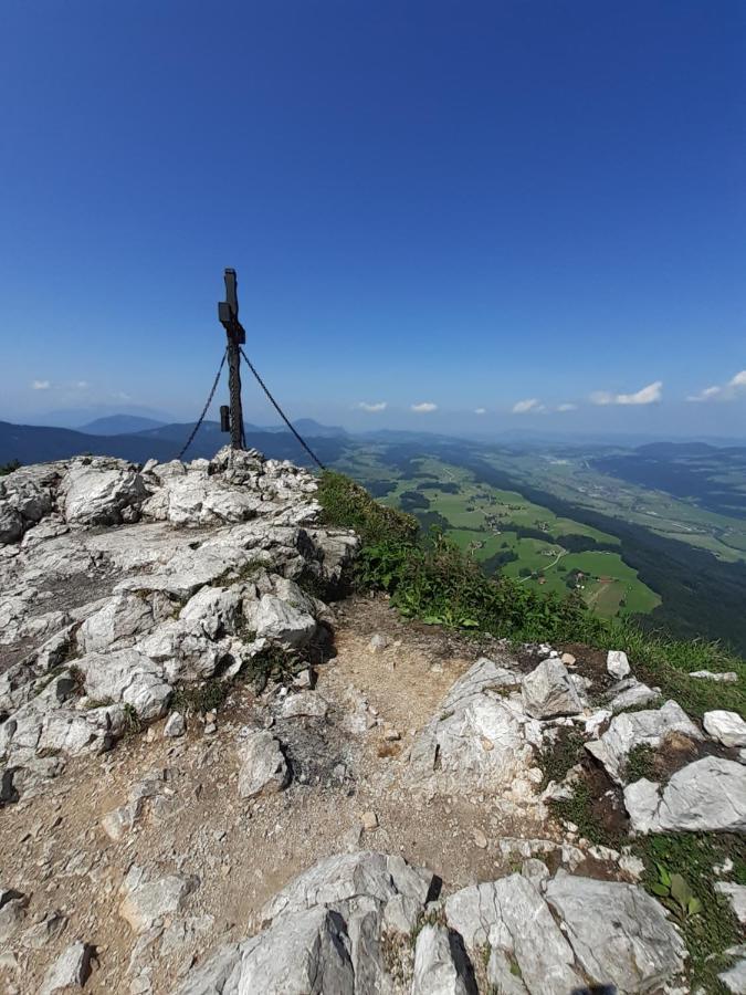 Reitbergs Nest Daire Eugendorf Dış mekan fotoğraf