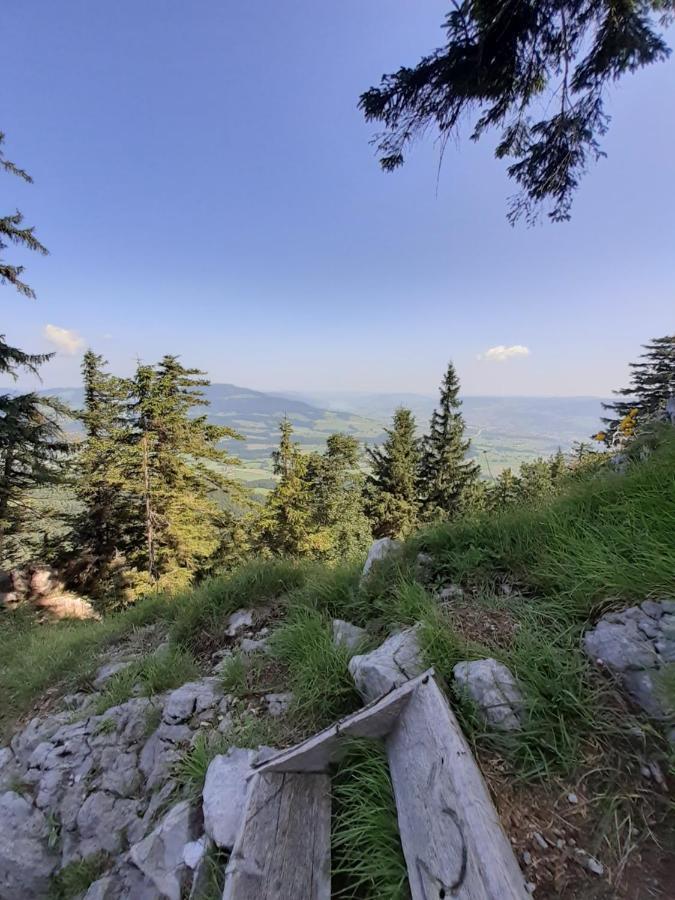 Reitbergs Nest Daire Eugendorf Dış mekan fotoğraf